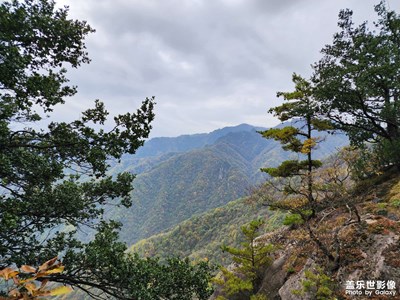 【双节同庆】+秋美山景