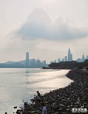 【双节同庆】+深圳湾公园