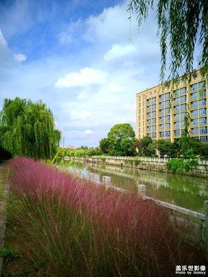 家门口的风景