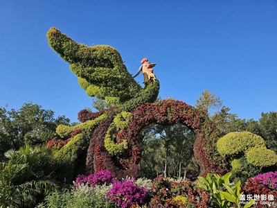 国家植物园第二届菊花展