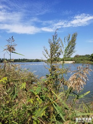 【镜头里的秋日私语】秋日即景