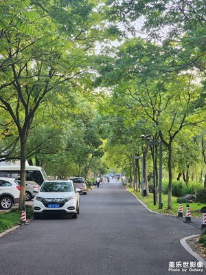 【赏秋正当时】+校园秋景
