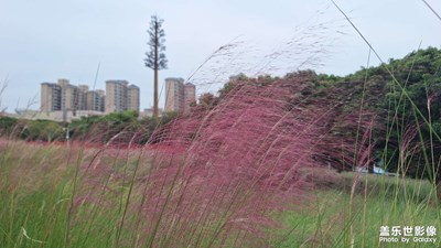 岁月无恙，只言温暖，不话悲伤。