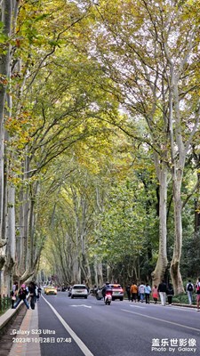 陵园路