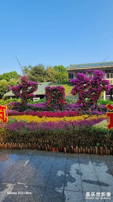 秋日花语