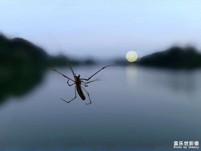 【影像的魅力】戏月