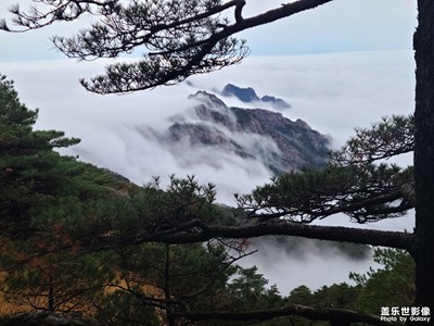 【一镜一世界】黃山随拍