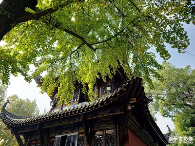 【与时光的对话】+武汉长春观
