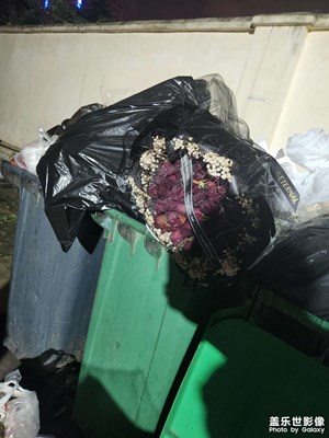 垃圾桶里的花