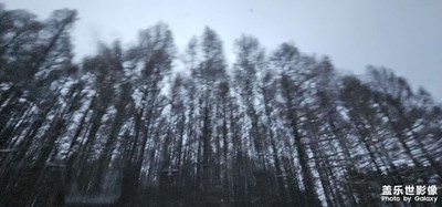 随便拍拍