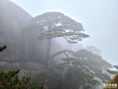 【难忘2023】黄山一日游