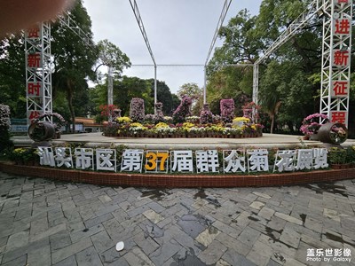 中山公园第37届群众菊花展