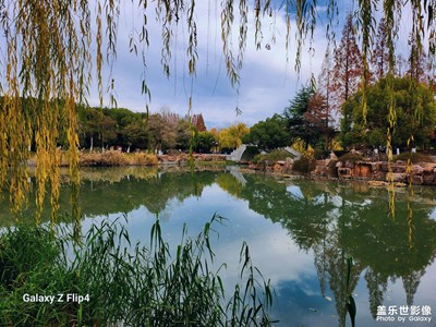 新手上路，请多指教