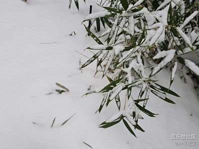 2023年的第一场雪