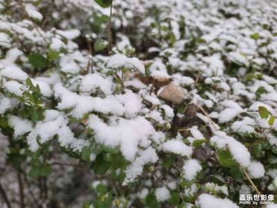 【随处风景】+ 西安的第一场雪