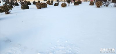 【随处风景】+ 雪后美景