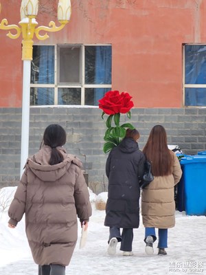 【冬日里的温暖】雪地的温暖