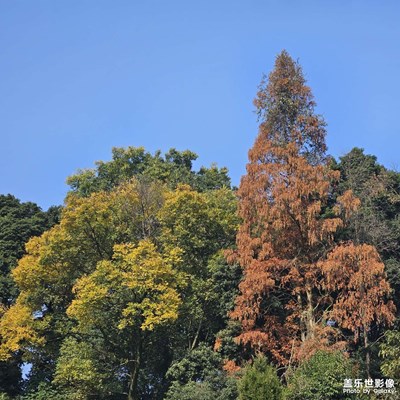 【难忘2023】2023，再见！