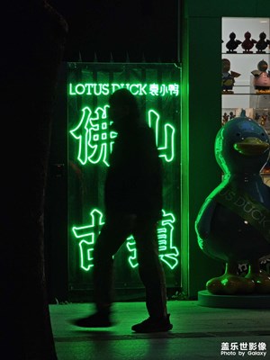 【喜迎2024】元旦快乐