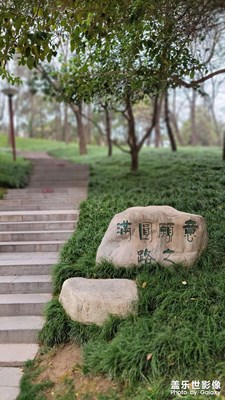 随意 回忆