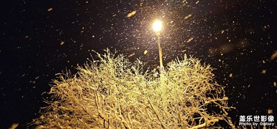 雪雪雪
