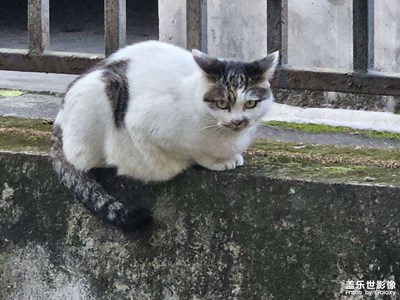 【浮光掠影】+忙里偷闲的时光