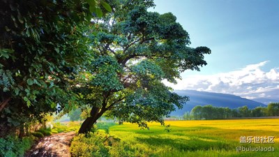 大理随拍。。。