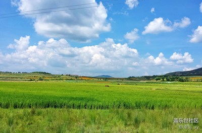 田野