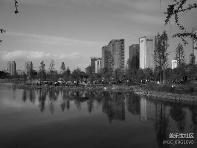 【黑白影像】+台州+城市中的公园