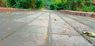 雨后我从千佛山走来