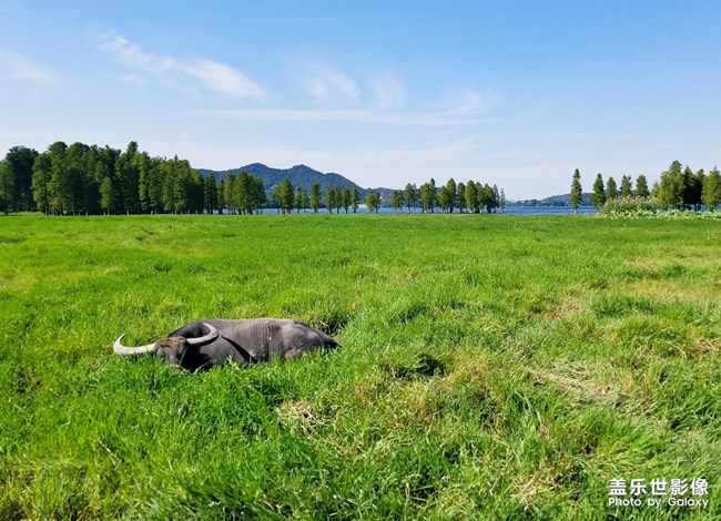 【每周精帖汇119】秋意正浓 是时候表演真正的技术了