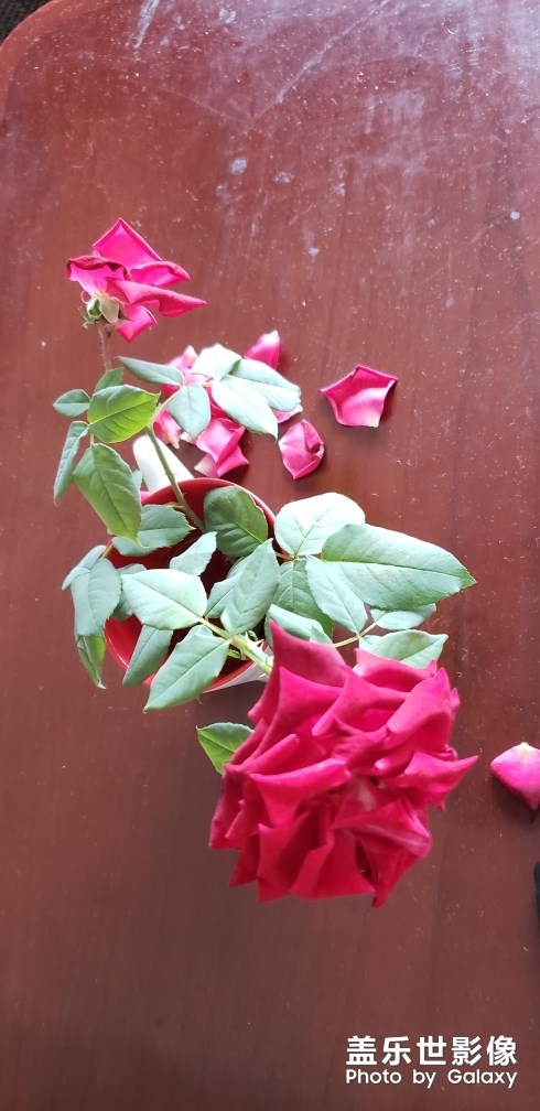 吃火锅