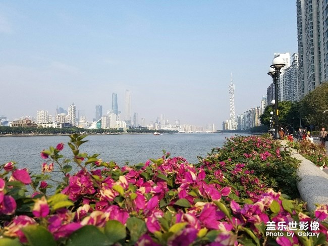 【色彩】+万千粉黛装点羊城