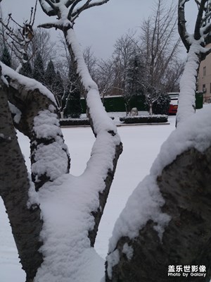 【这世界正美】+有雪的冬日才美