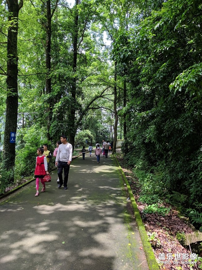 白天拍照还可以，希望a70也能增加夜景模式，谢谢