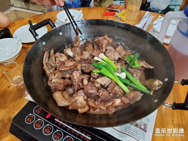 顺德四日游最后一天