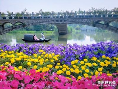 【初夏印象】+风和日丽