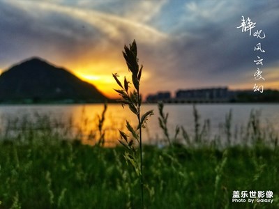 我心无尘