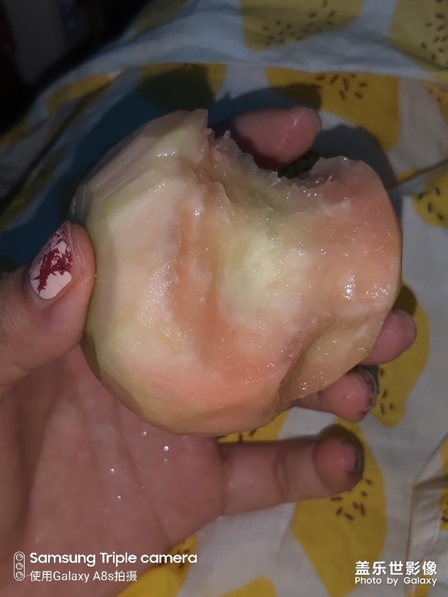 桃桃
