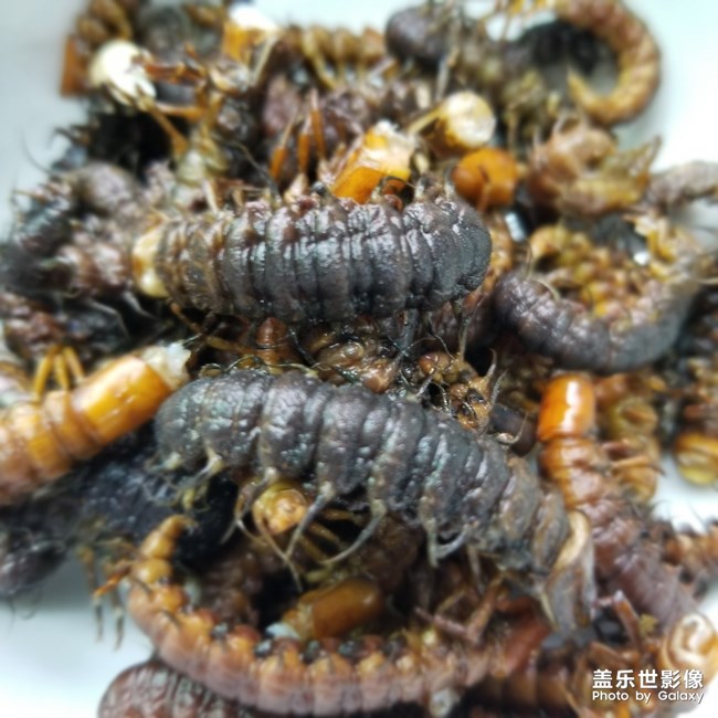 美食