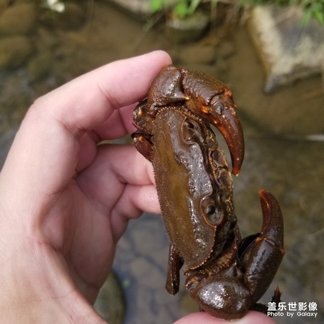 美食