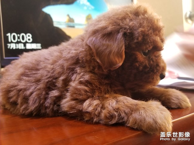 可乐