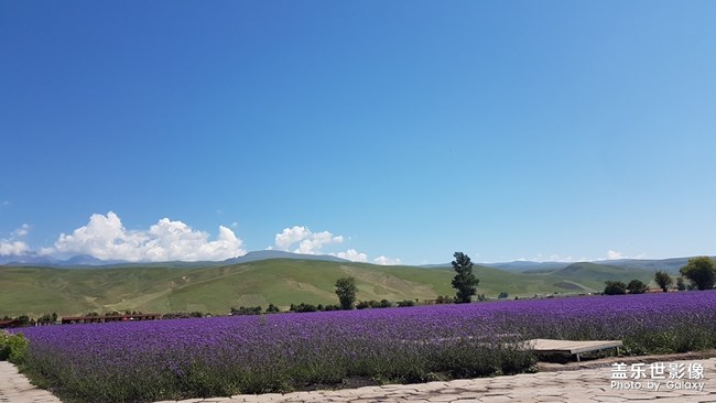 系统升级以后还能降级吗？