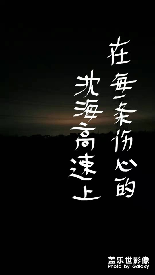 在每一条伤心的沈海高速上