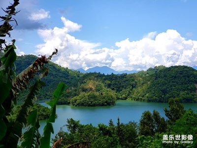 热带雨林随拍记录