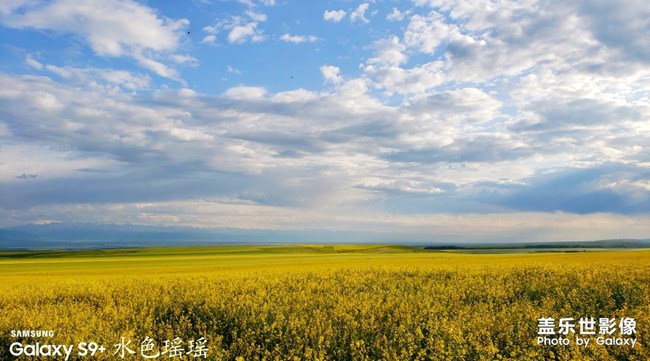 【每周星鲜事04】三星Galaxy Note10系列正式首销 【每周星鲜事04】三星Galaxy Note10系列正式首销