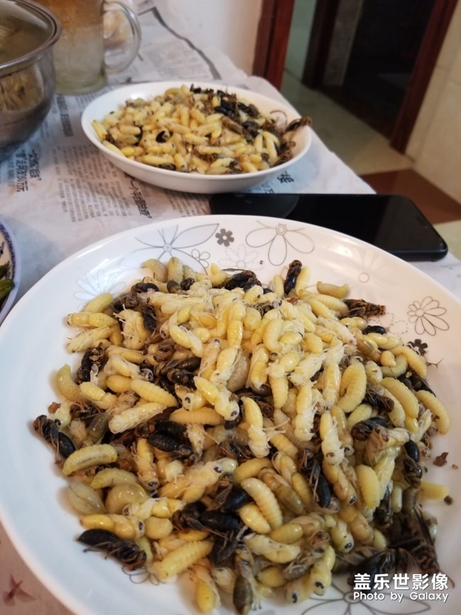 美食