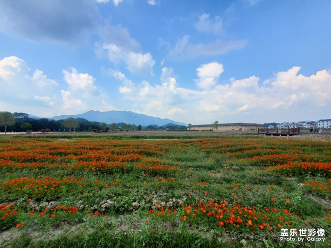 【每周星鲜事05】长假将至你准备好了吗? 【每周星鲜事05】长假将至你准备好了吗?