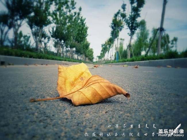 【每周星鲜事05】长假将至你准备好了吗? 【每周星鲜事05】长假将至你准备好了吗?