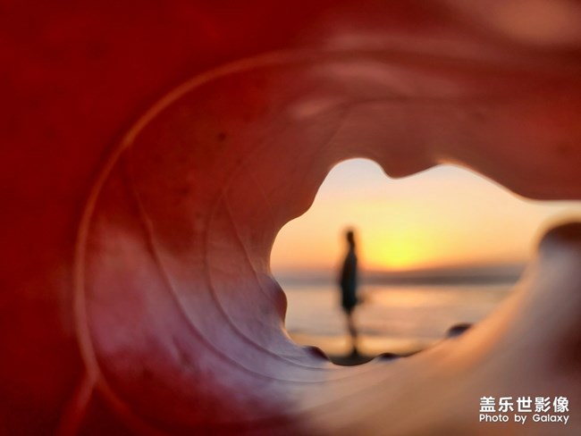 【每周星鲜事05】长假将至你准备好了吗? 【每周星鲜事05】长假将至你准备好了吗?